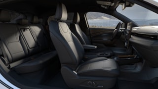 2025 Ford Mustang Mach-E® Internal Image 1